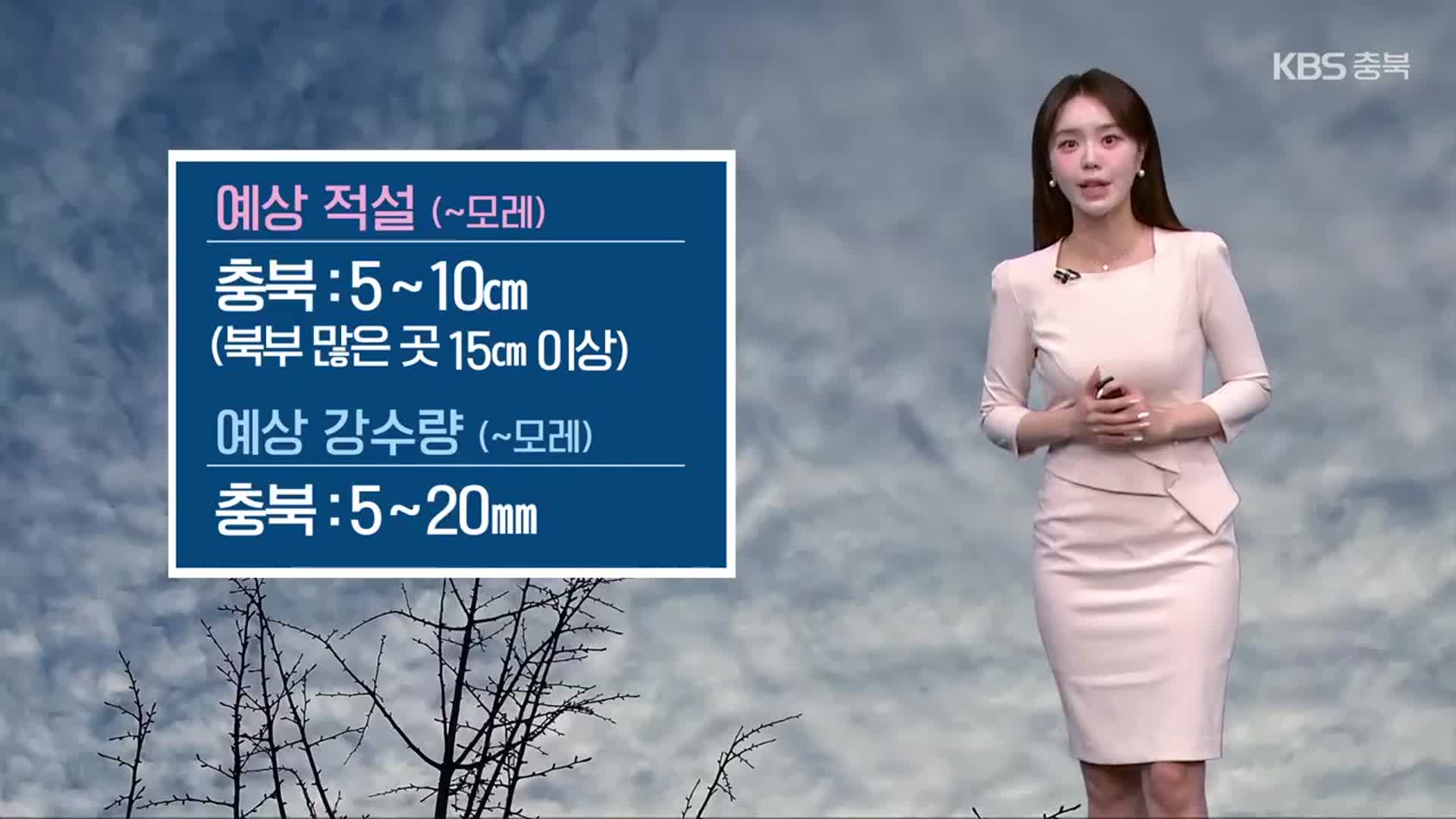 [날씨] 충북 모레까지 많은 눈…최대 15cm↑