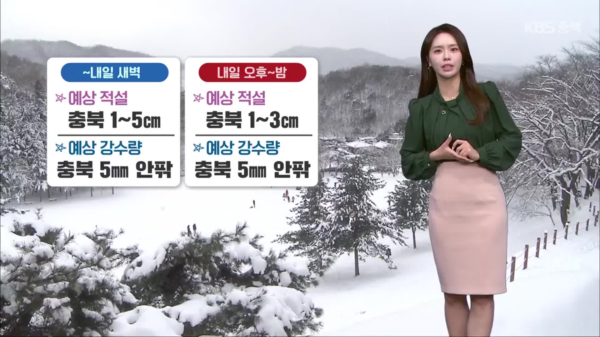 [날씨] 충북 내일까지 눈…아침 기온 뚝↓