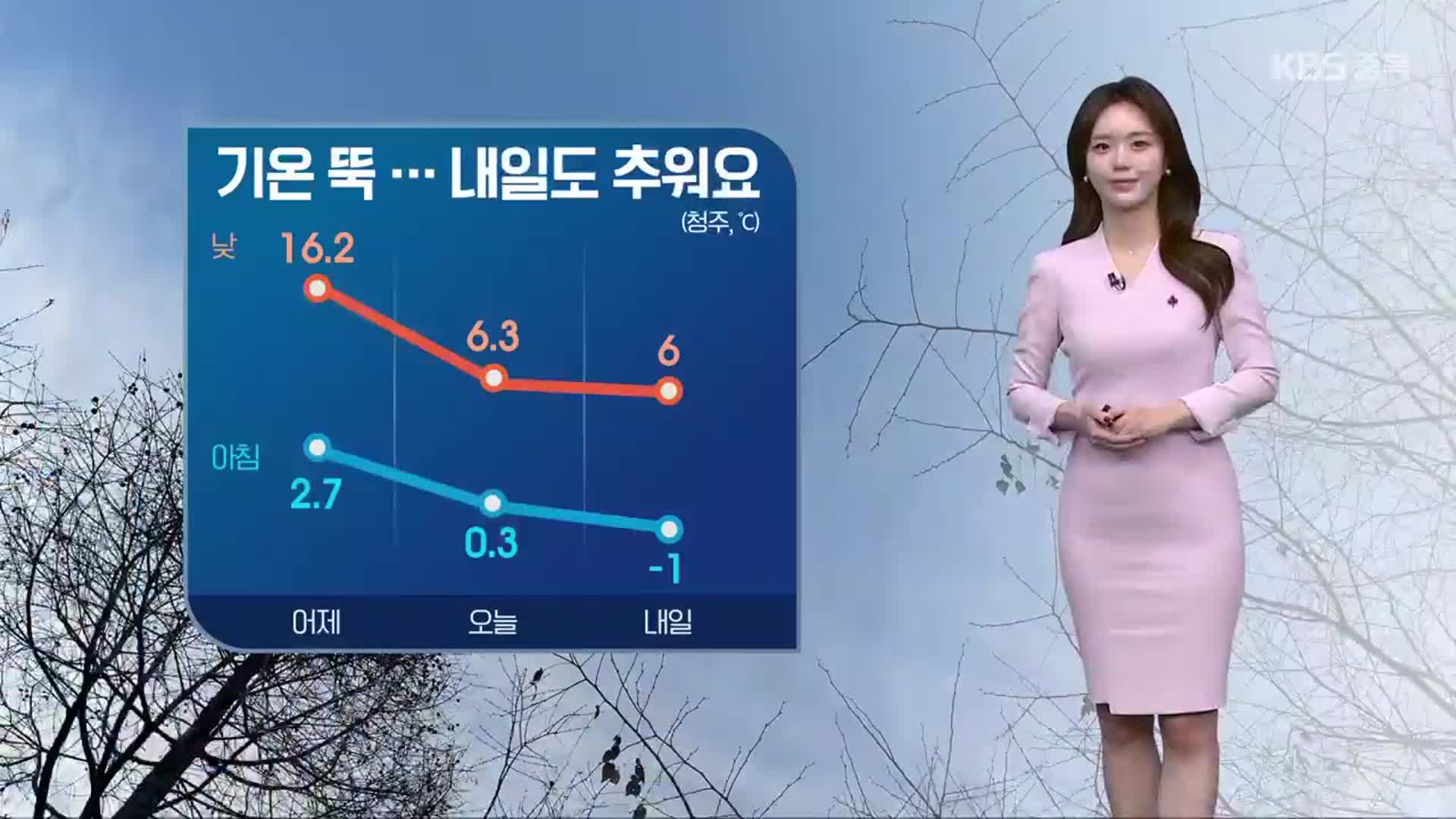 [날씨] 충북 오늘 밤~내일 새벽 비·눈…추위 계속