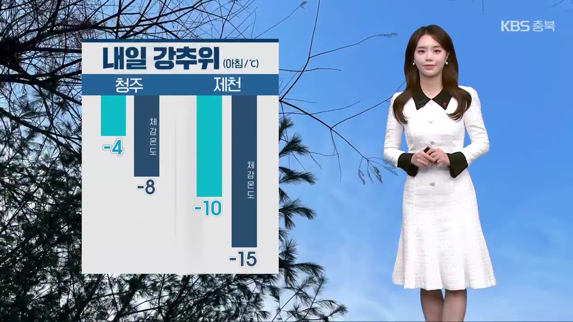 [날씨] 충북 중·남부 밤까지 비·눈…내일 강추위