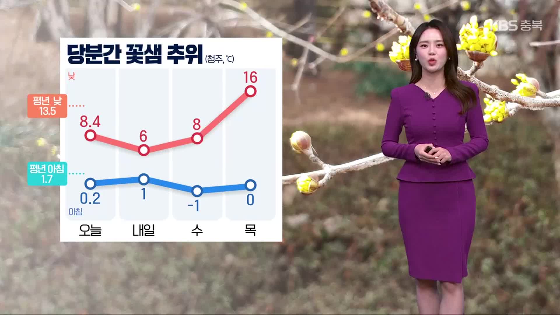 [날씨] 충북 당분간 꽃샘추위…내일 최대 10cm 눈