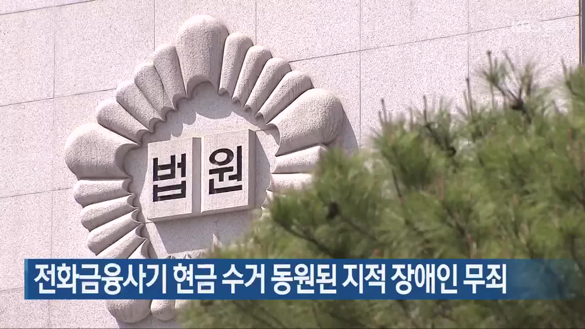 전화금융사기 현금 수거 동원된 지적 장애인 무죄