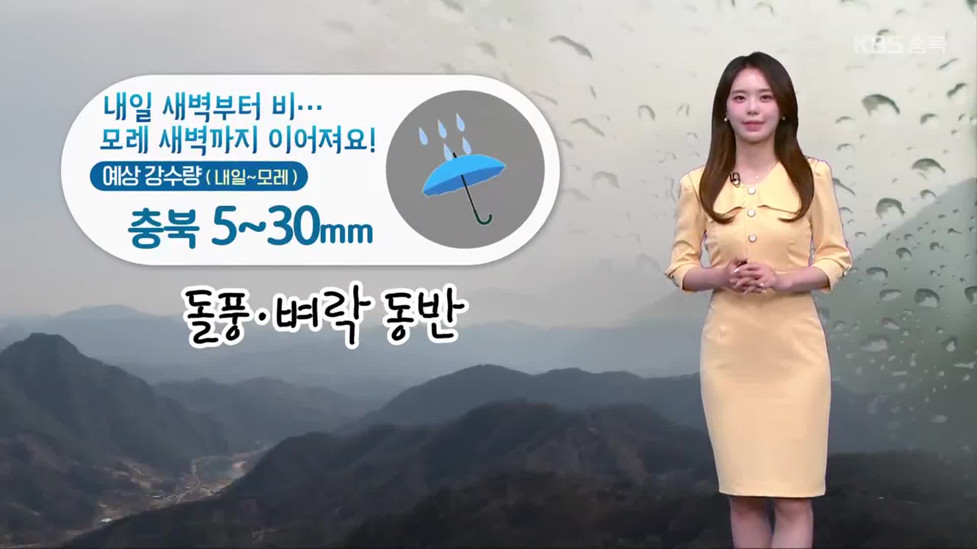 [날씨] 충북 내일~모레 비…돌풍·벼락 동반