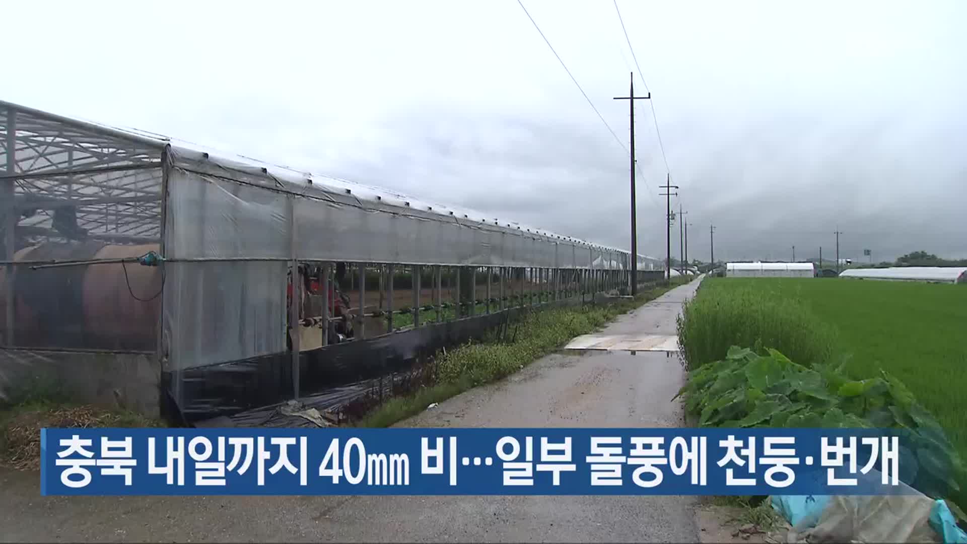 충북 내일까지 40mm 비…일부 돌풍에 천둥·번개