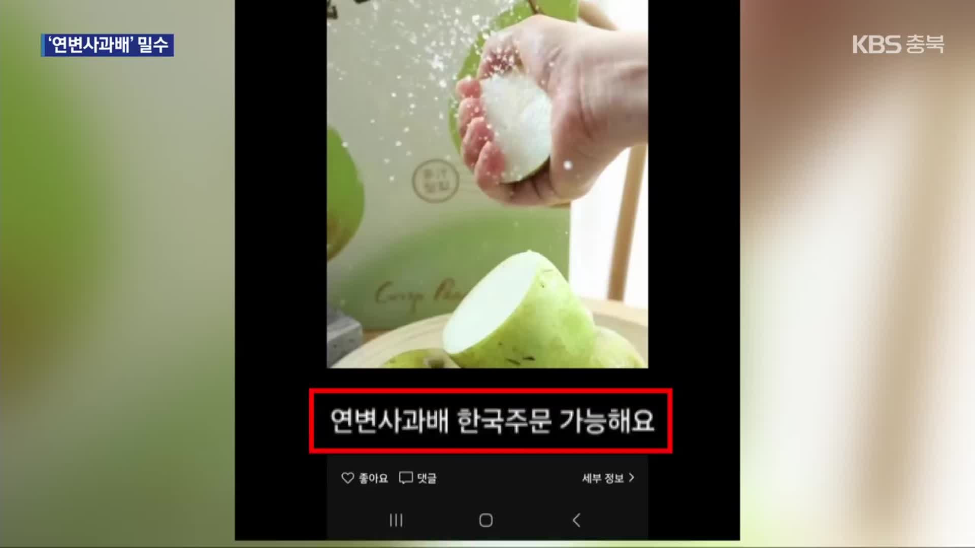 “연변 사과배?” 밀수 농산물 SNS에서 팔아