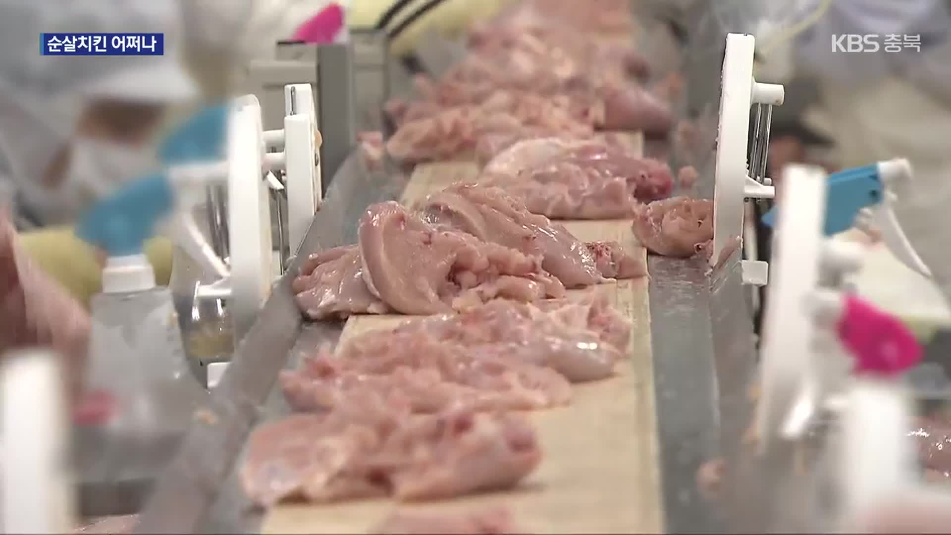 순살치킨 어쩌나…닭고기 품귀에 치킨집 비상