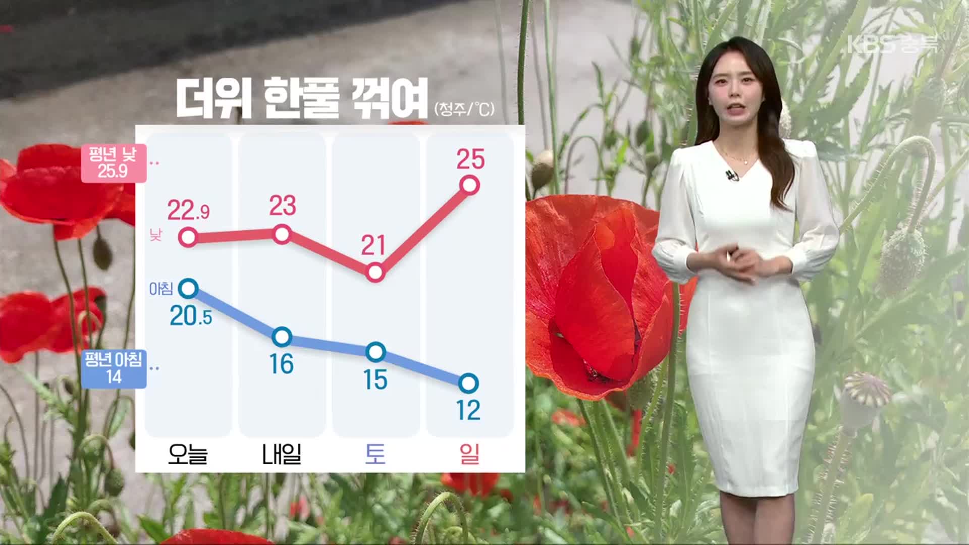 [날씨] 충북 더위 한풀 꺾여…내일도 흐려요!