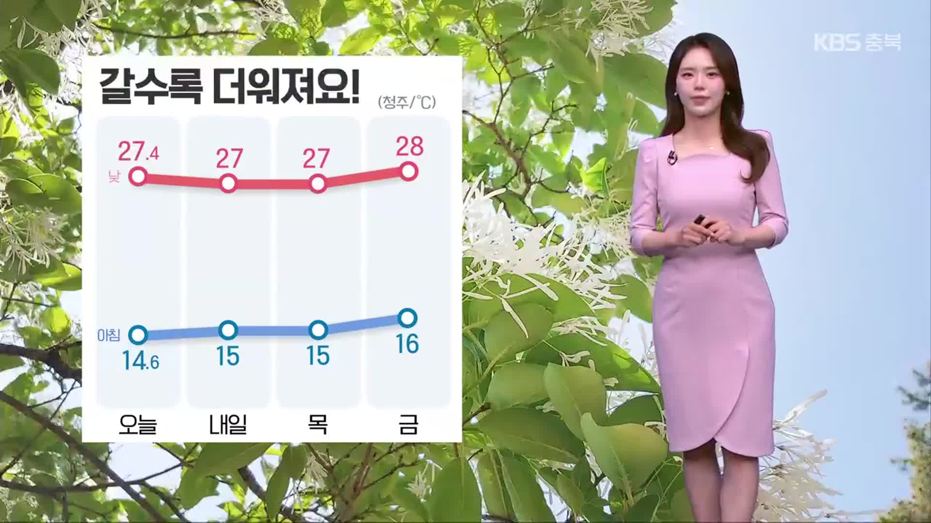 [날씨] 충북 갈수록 더워져…내일 소나기