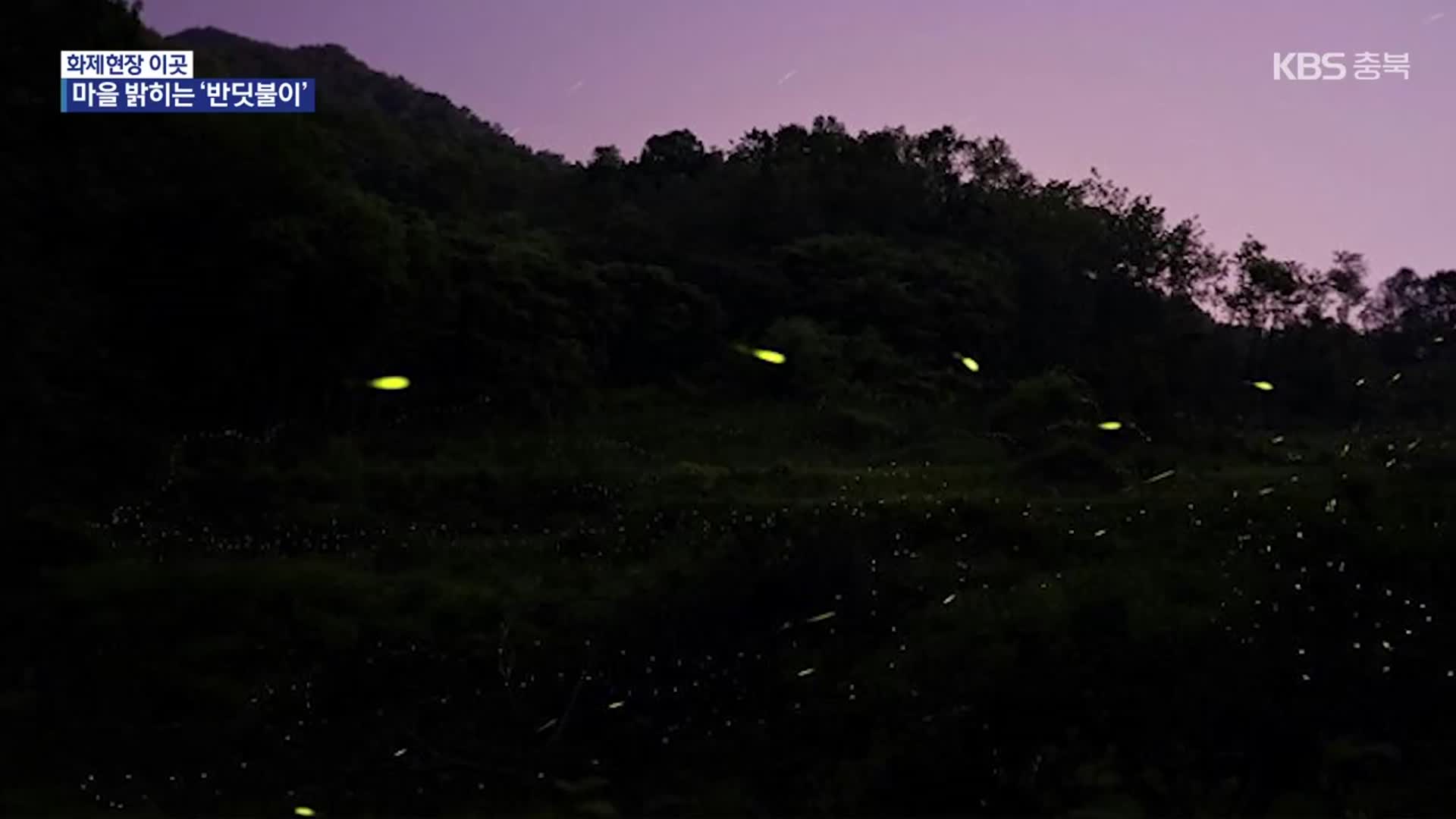 [화제현장 이곳] “반딧불이 보러 왔어요”…산골마을 축제로 활기