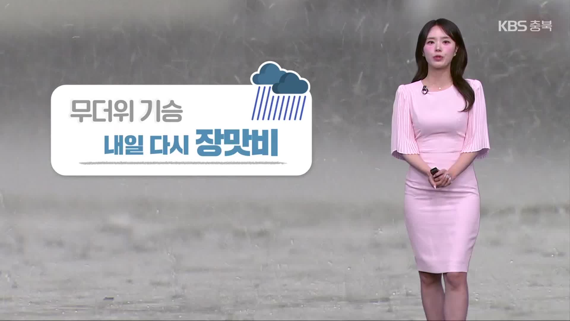 [날씨] 충북 내일 오후부터 장맛비…돌풍·벼락 동반