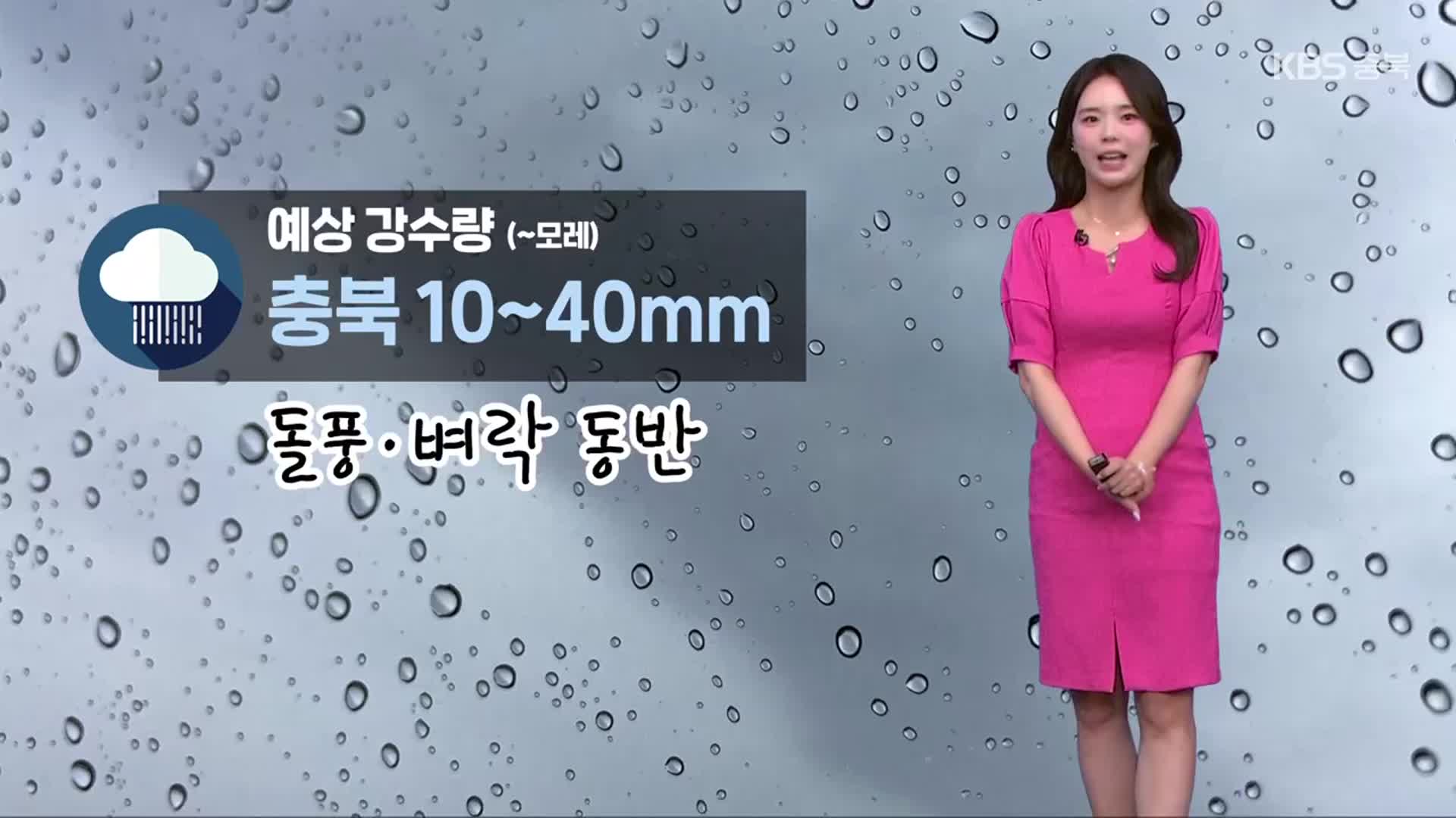 [날씨] 충북 모레 새벽까지 비…돌풍·벼락 동반