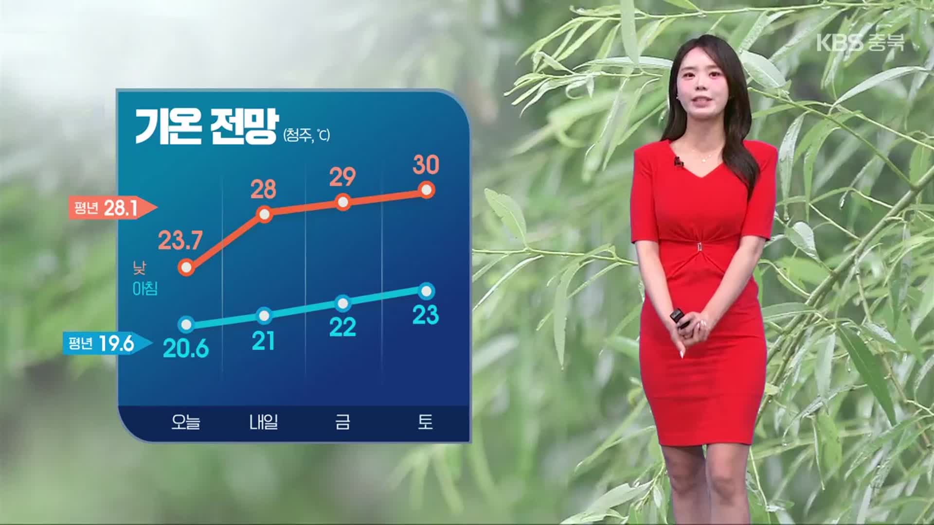 [날씨] 충북 내일 오전까지 오락가락 비…다시 더워져