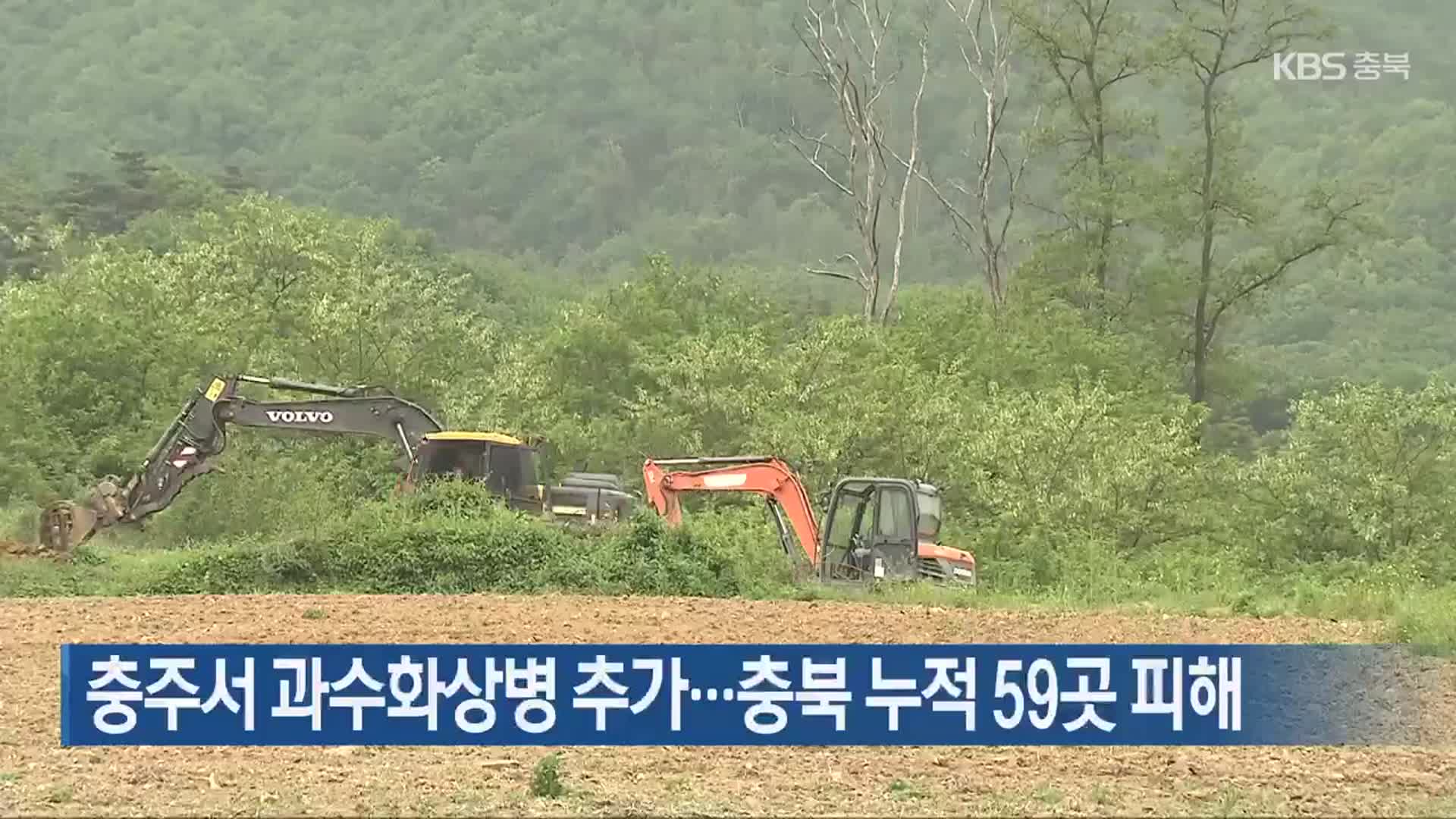 충주서 과수화상병 추가…충북 누적 59곳 피해