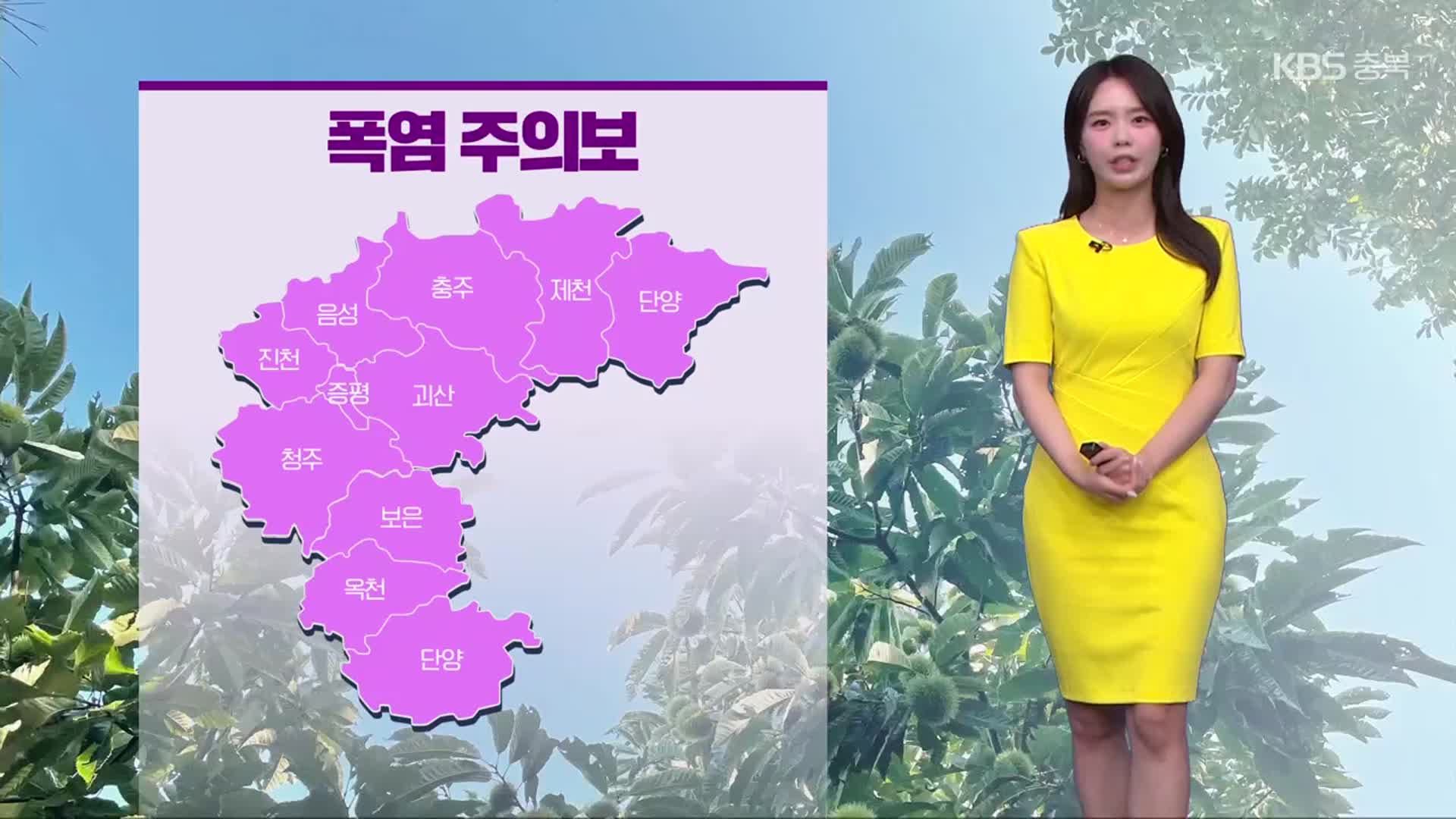[날씨] 충북 폭염주의보…내일 소나기