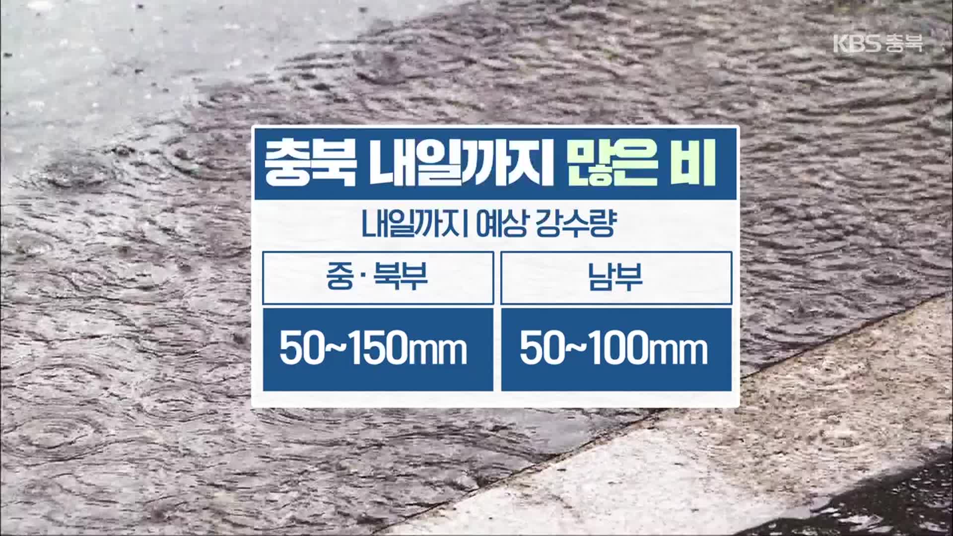 [날씨] 충북 호우특보…내일까지 50~150mm 비