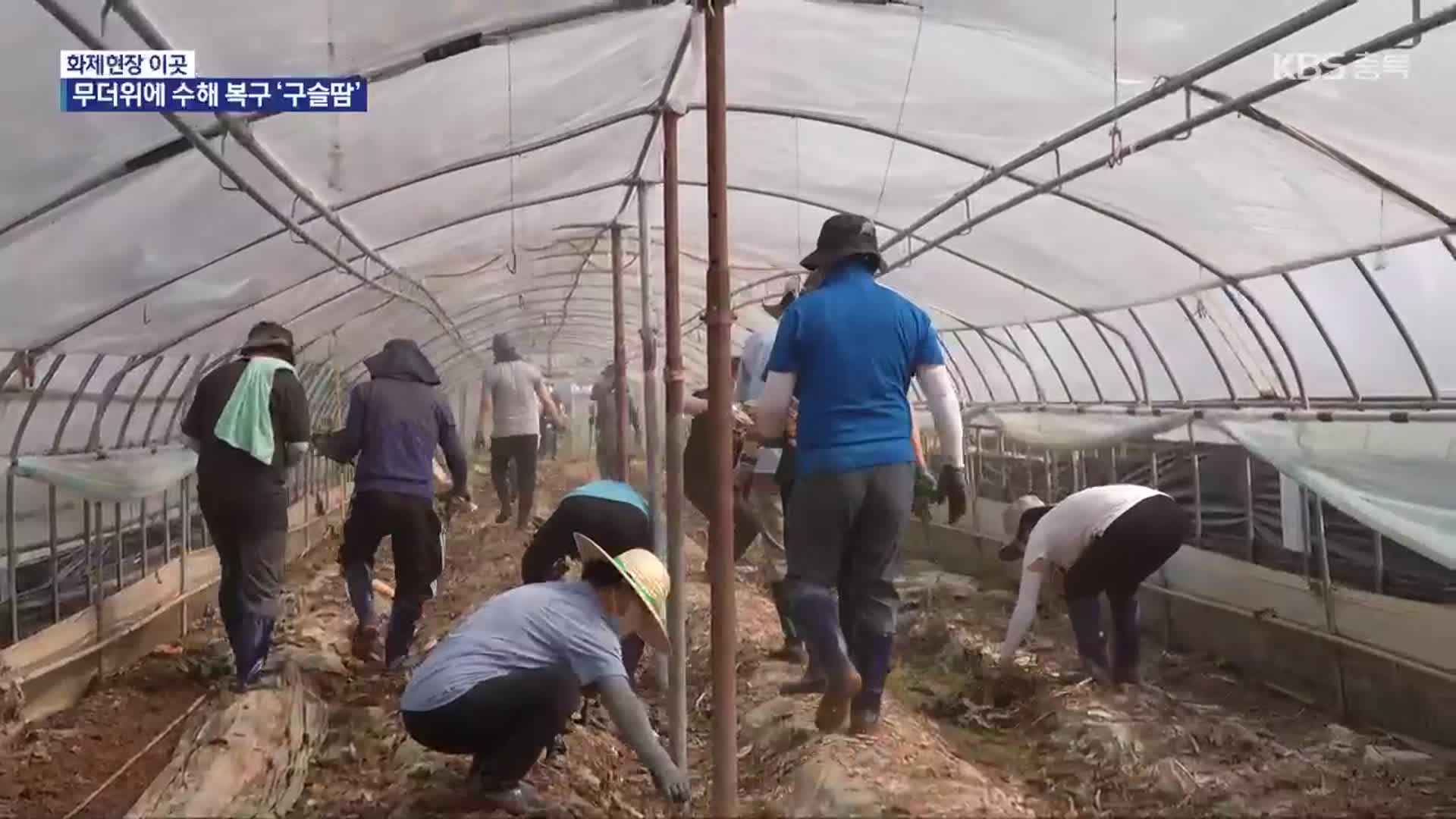 [화제현장 이곳] 집중호우 피해 속출…무더위에 수해 복구 ‘구슬땀’