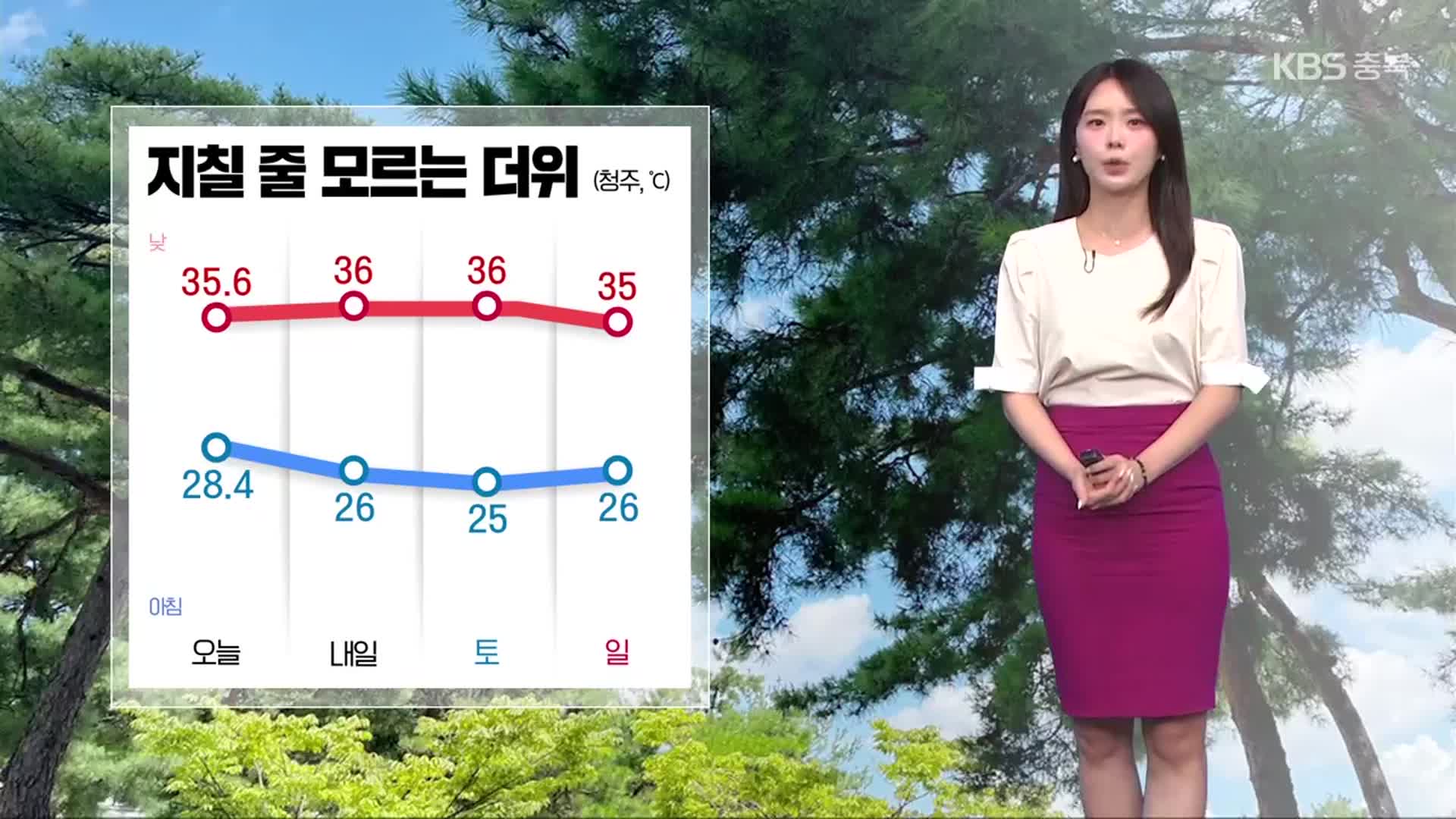 [날씨] 충북 폭염경보…지칠 줄 모르는 더위
