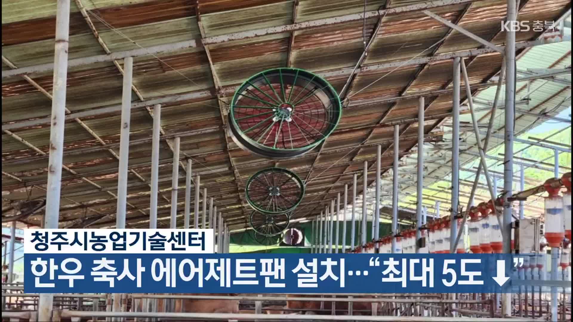 청주시농업기술센터, 한우 축사 에어제트팬 설치…“최대 5도 ↓”