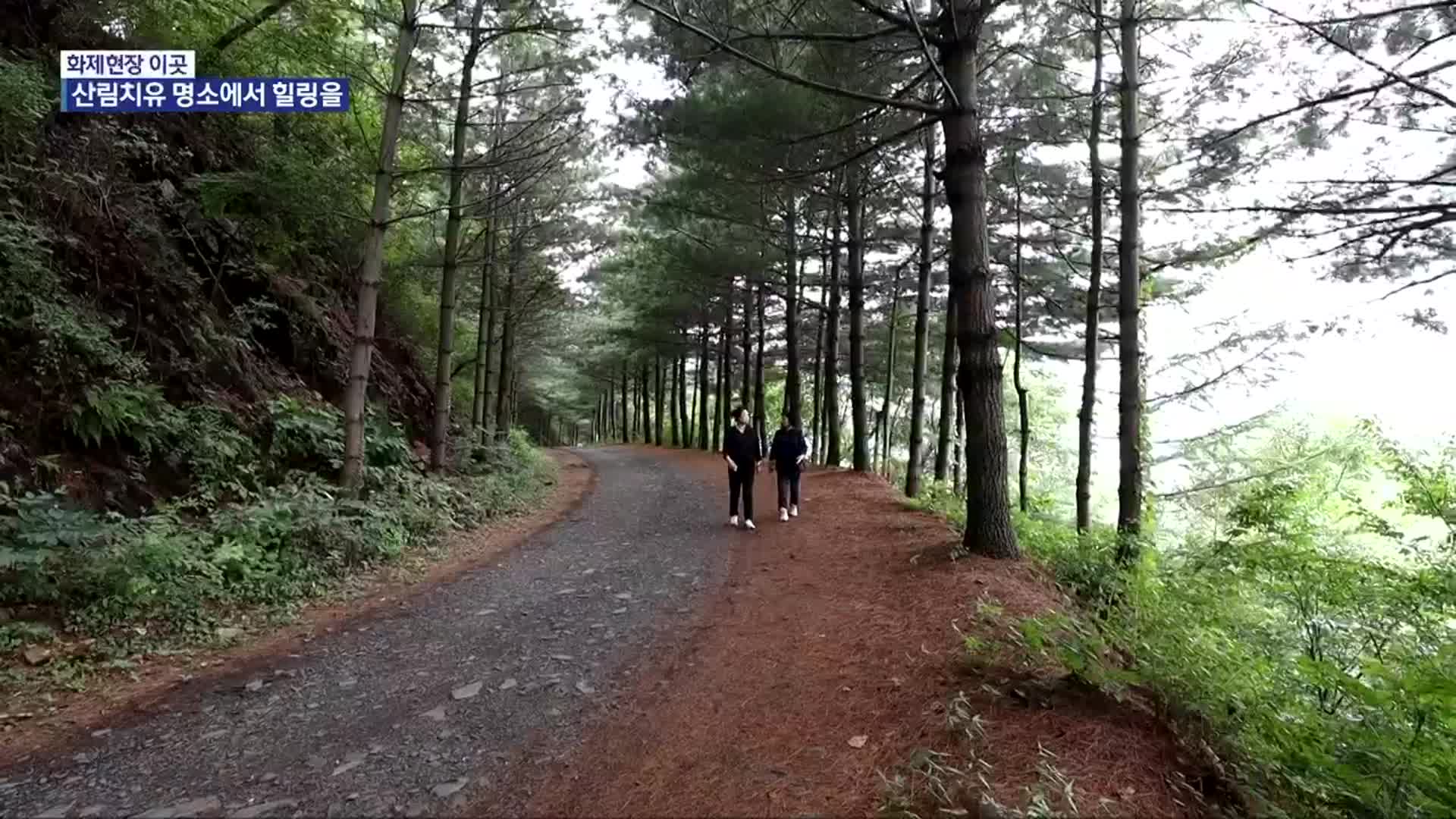 [화제현장 이곳] “쉼과 치유의 공간”…옥화 ‘치유의 숲’ 개장