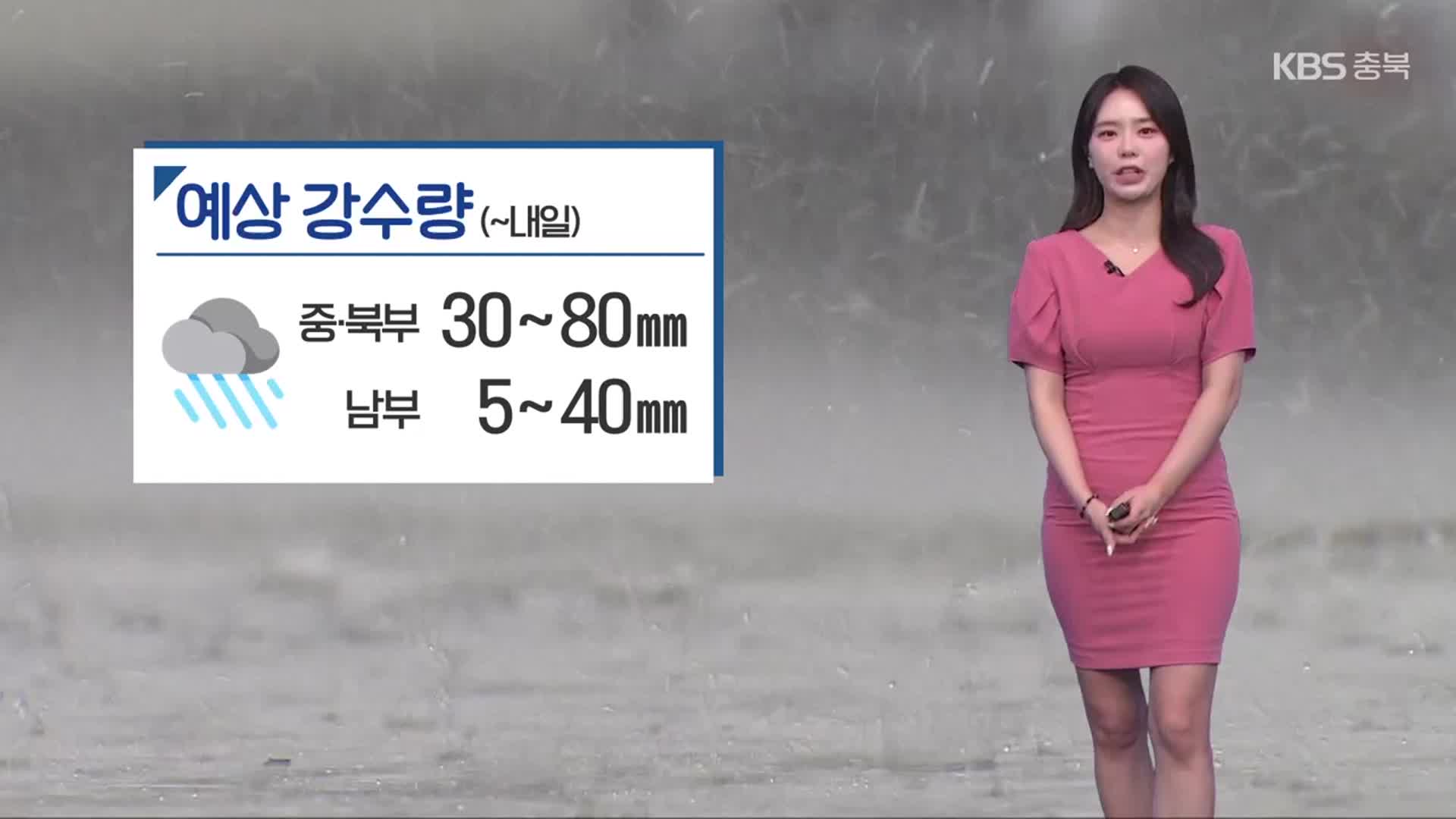 [날씨] 충북 비 내일까지 이어져…남부 폭염특보