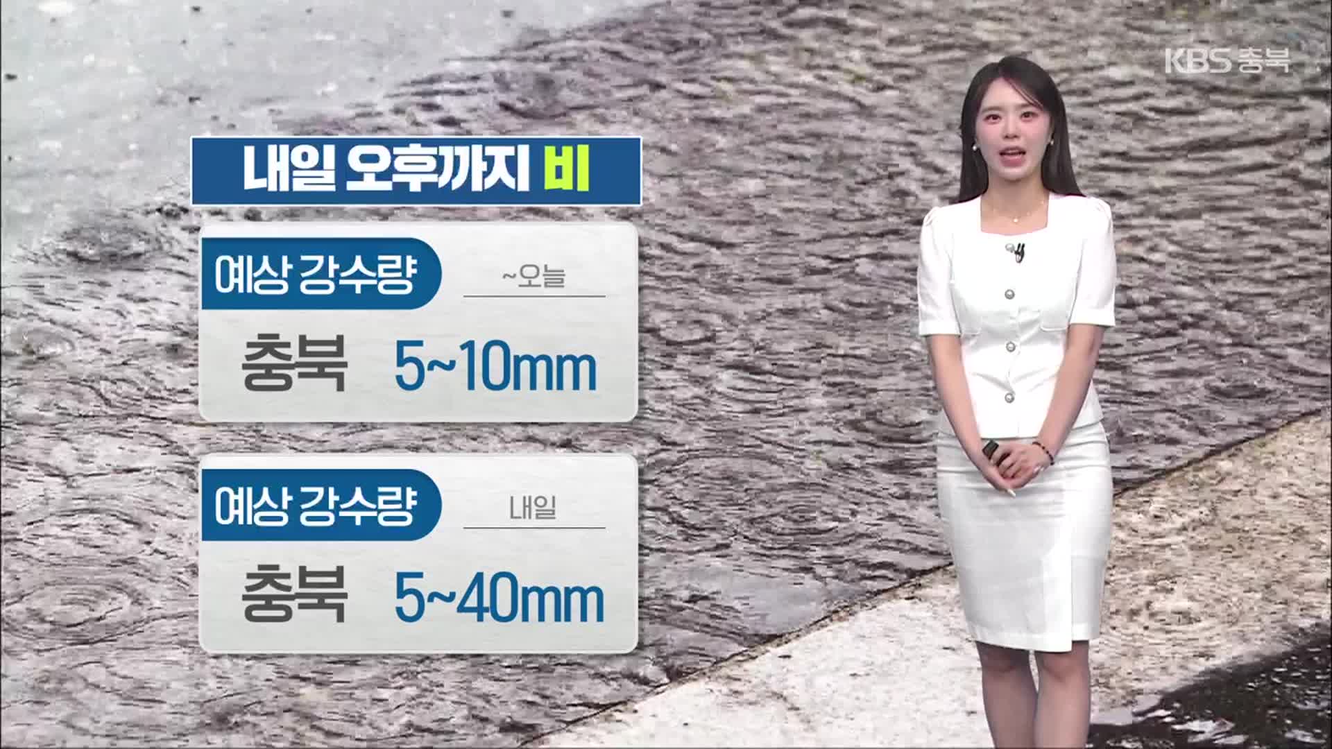 [날씨] 충북 내일 오후까지 비…폭염특보 확대