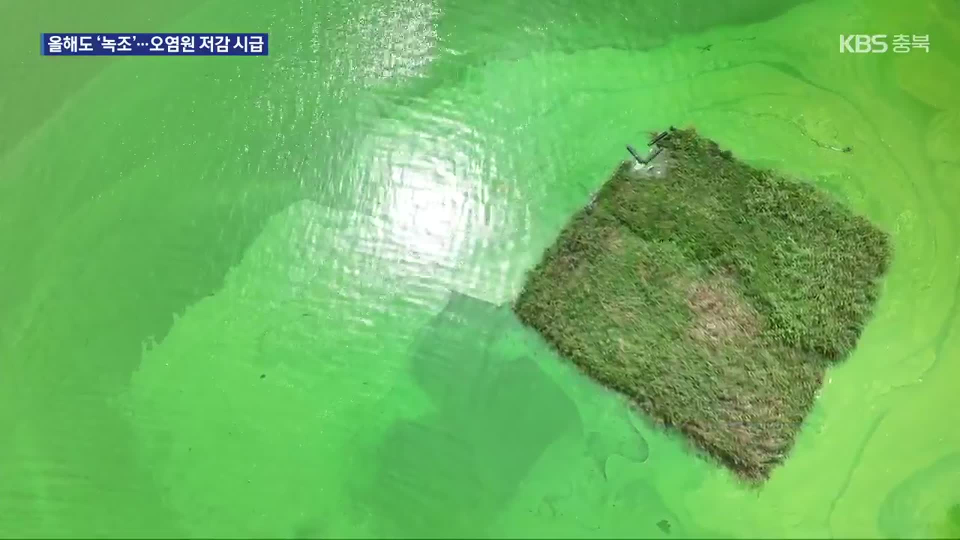 대청호 ‘녹조’ 10년째…근본 대책 시급