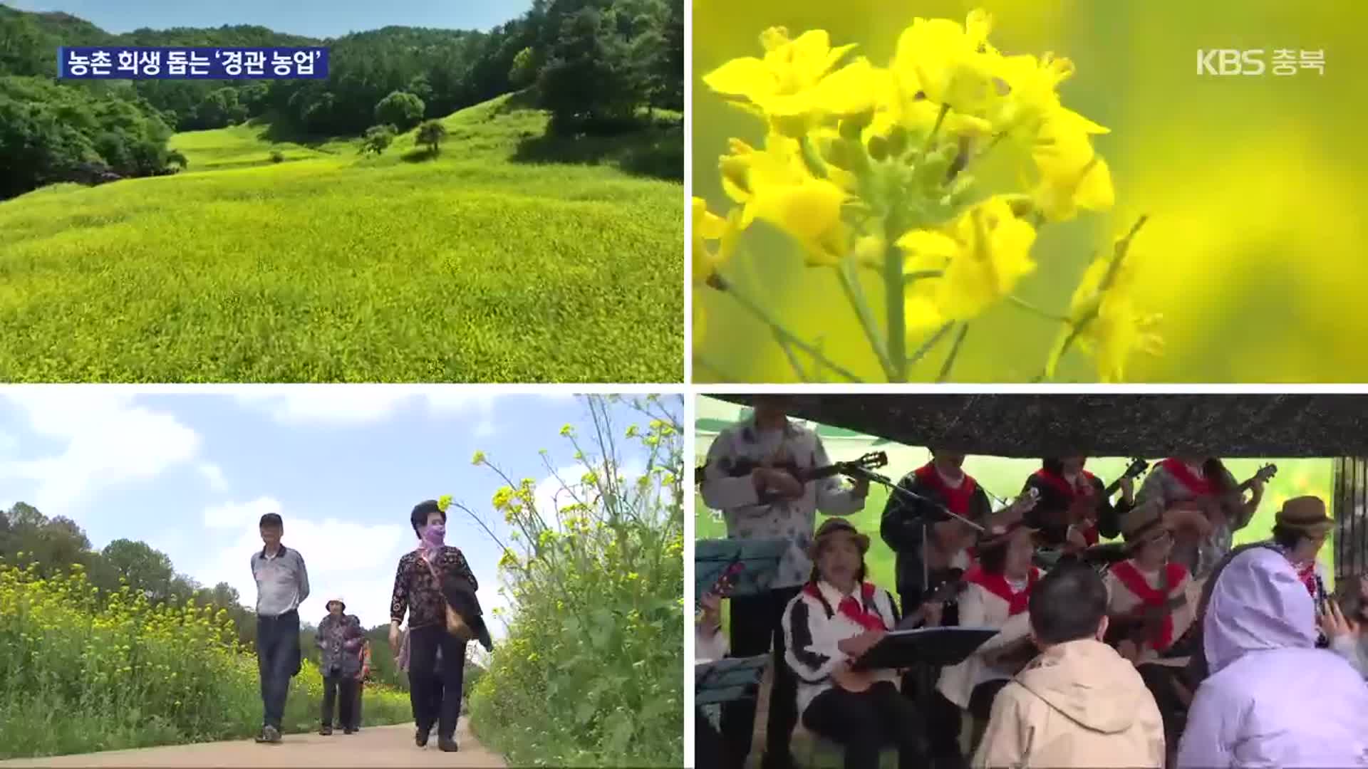 농촌 경관, 지역 자원으로…지역 회생 도와