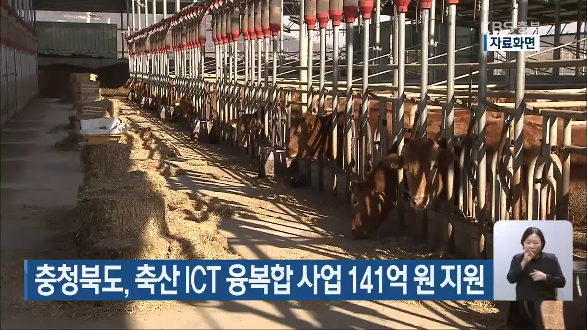 충청북도, 축산 ICT 융복합 사업 141억 원 지원