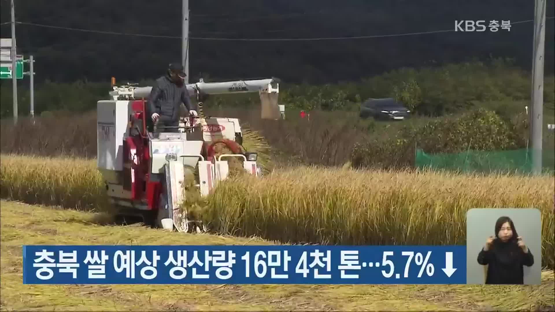 충북 쌀 예상 생산량 16만 4천 톤…5.7% ↓