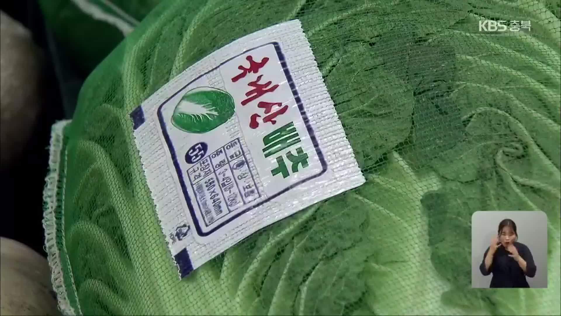 배추 출하 한창이지만…김장비 상승 전망