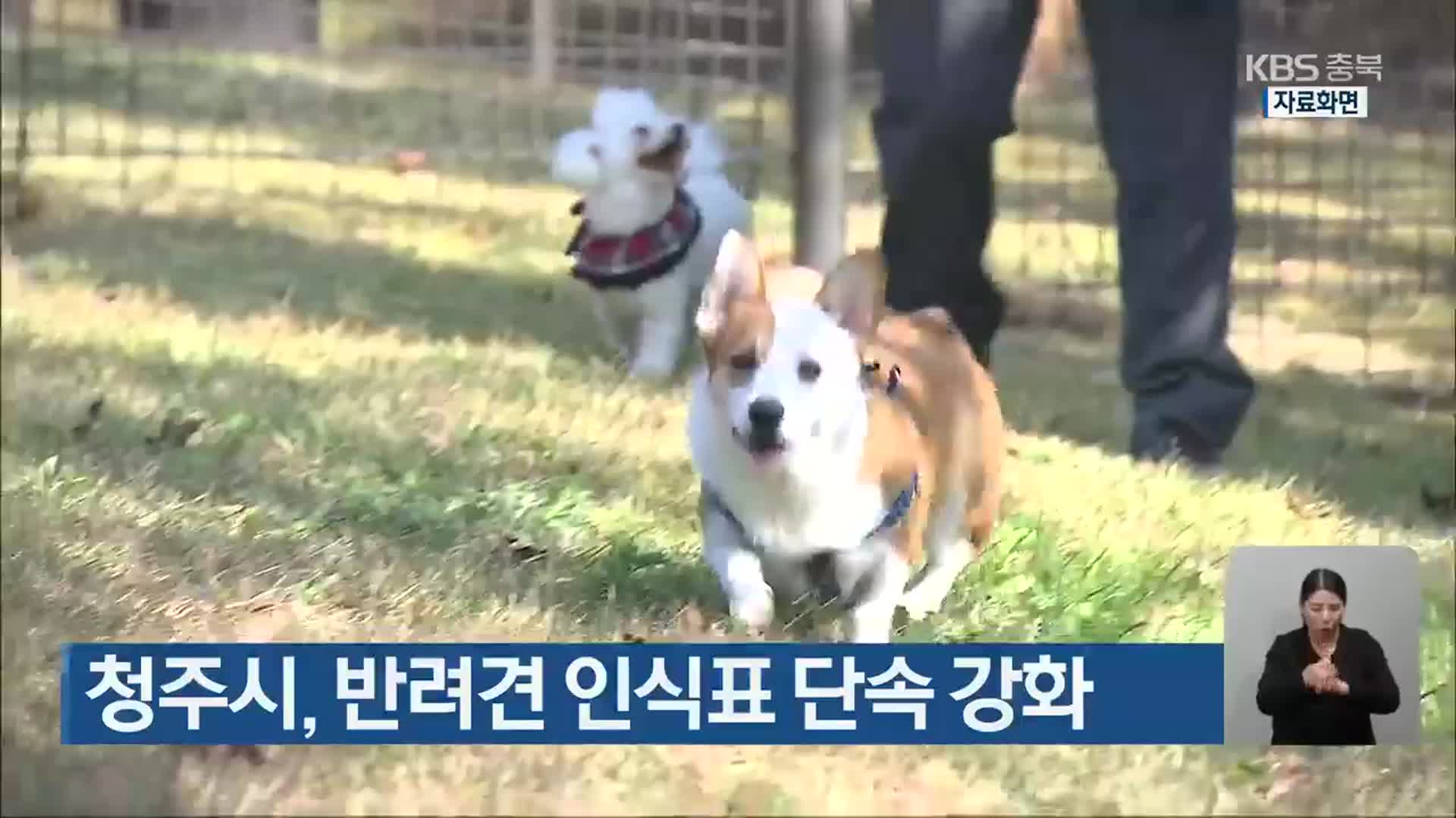 청주시, 반려견 인식표 단속 강화