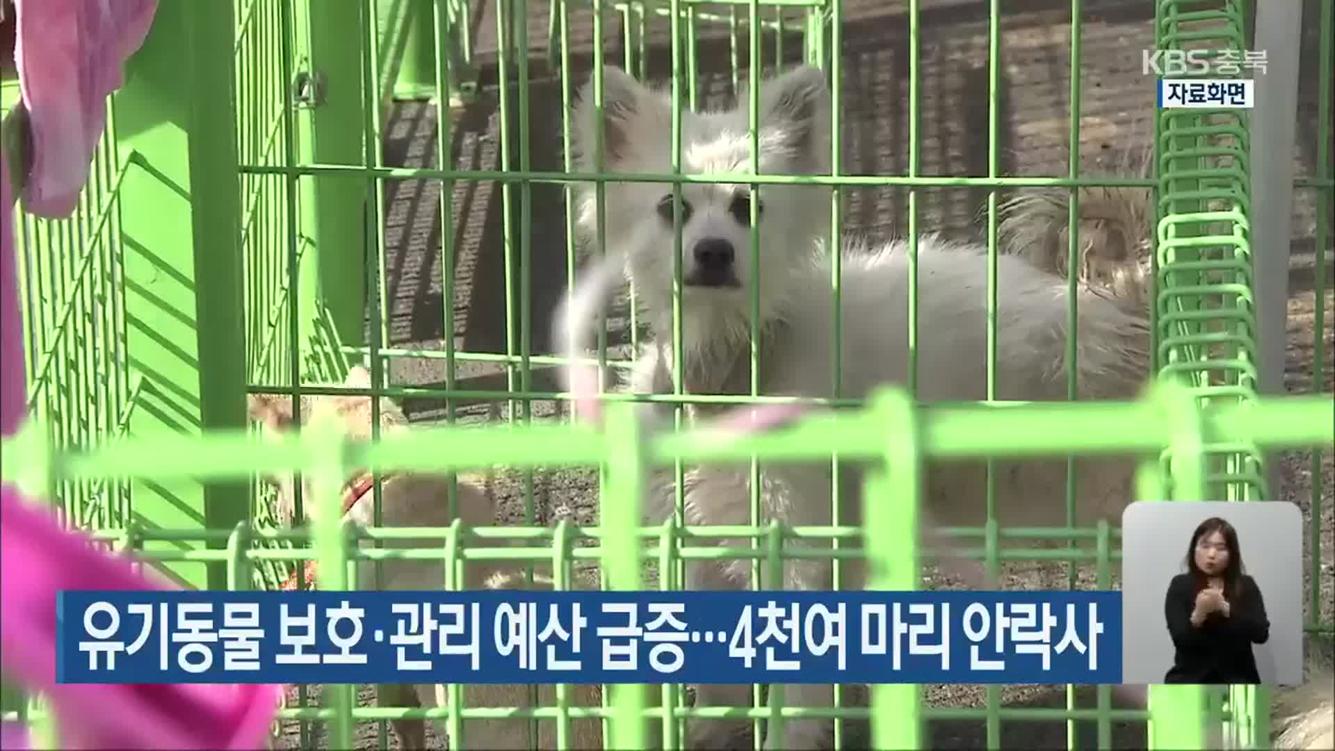 유기동물 보호·관리 예산 급증…4천여 마리 안락사