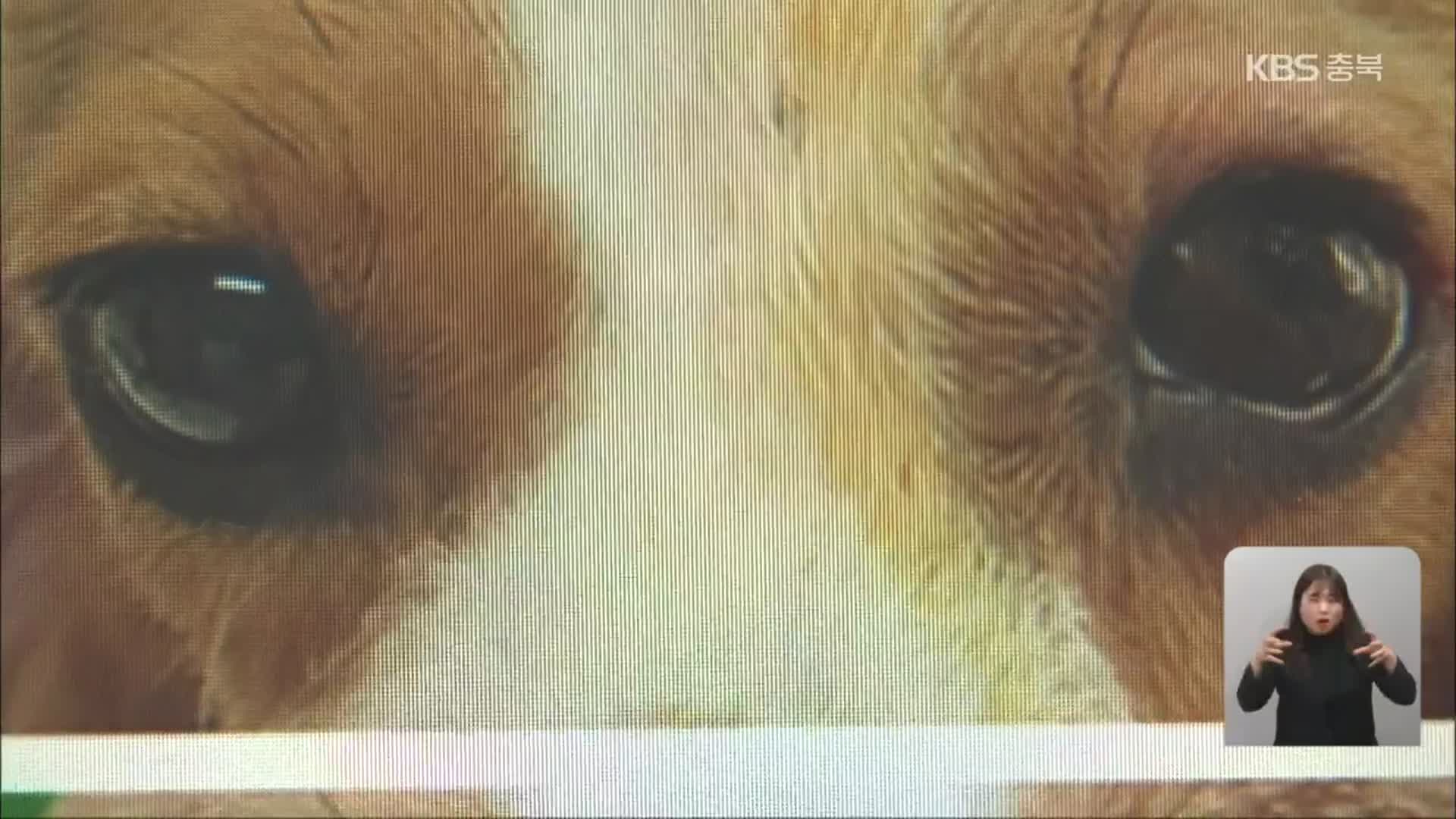 개 눈 적출 논란…“동물 학대” vs “실험 기준 준수”