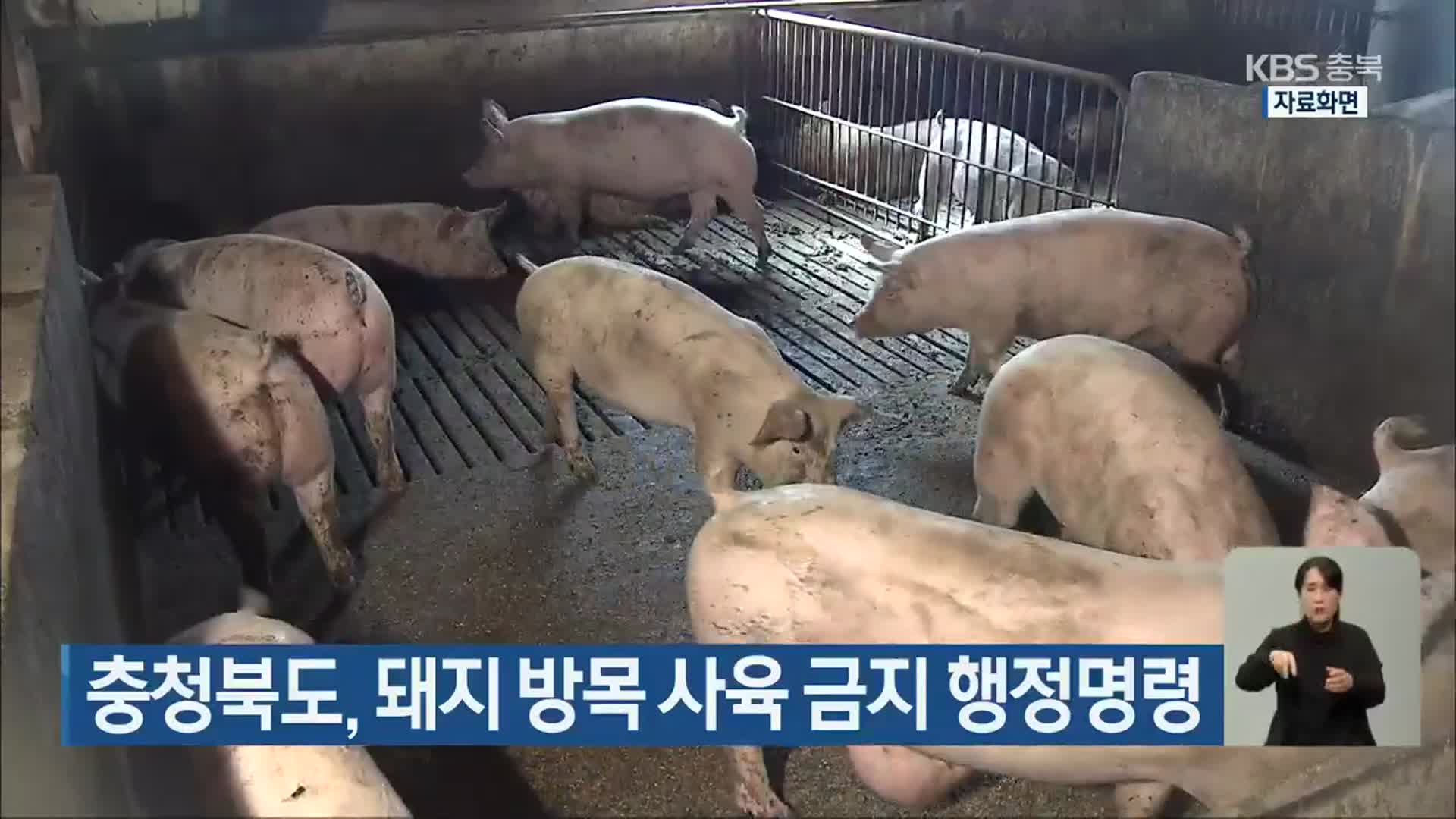 충청북도, 돼지 방목 사육 금지 행정명령