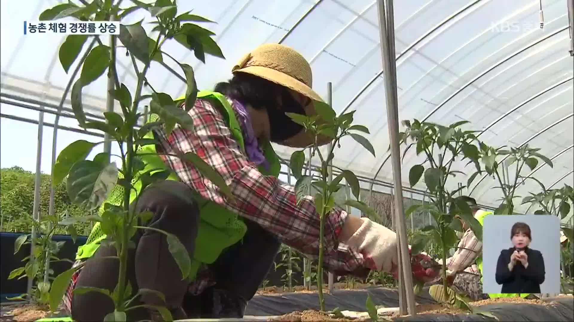 ‘농촌 살아보기’ 인기…“직접 생활해보고 결정하세요”