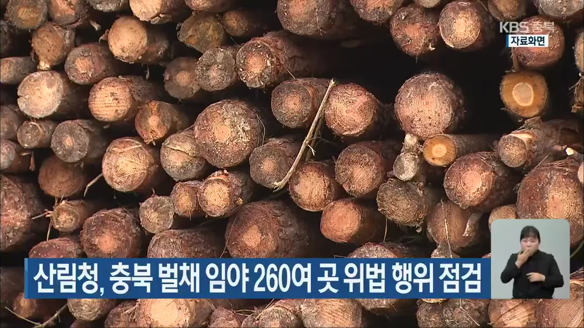 산림청, 충북 벌채 임야 260여 곳 위법 행위 점검