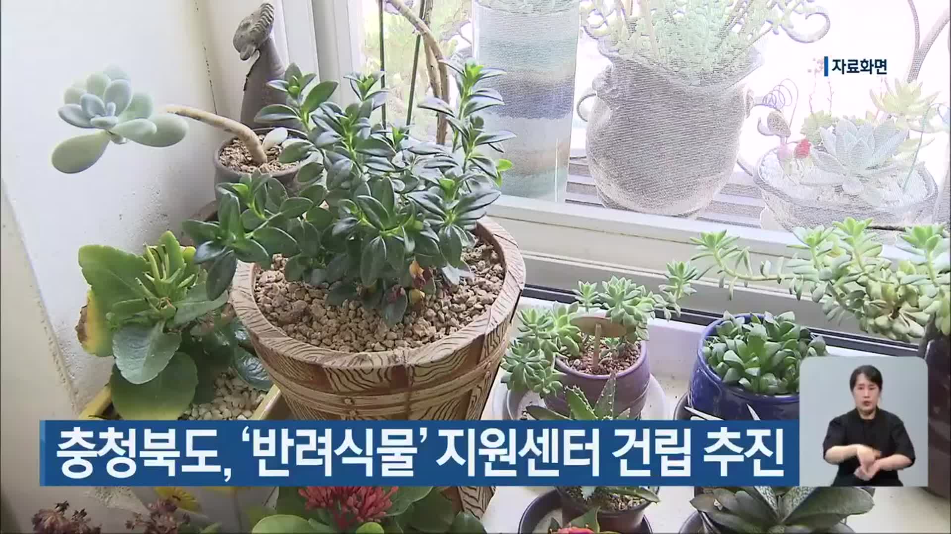 충청북도, ‘반려식물’ 지원센터 건립 추진
