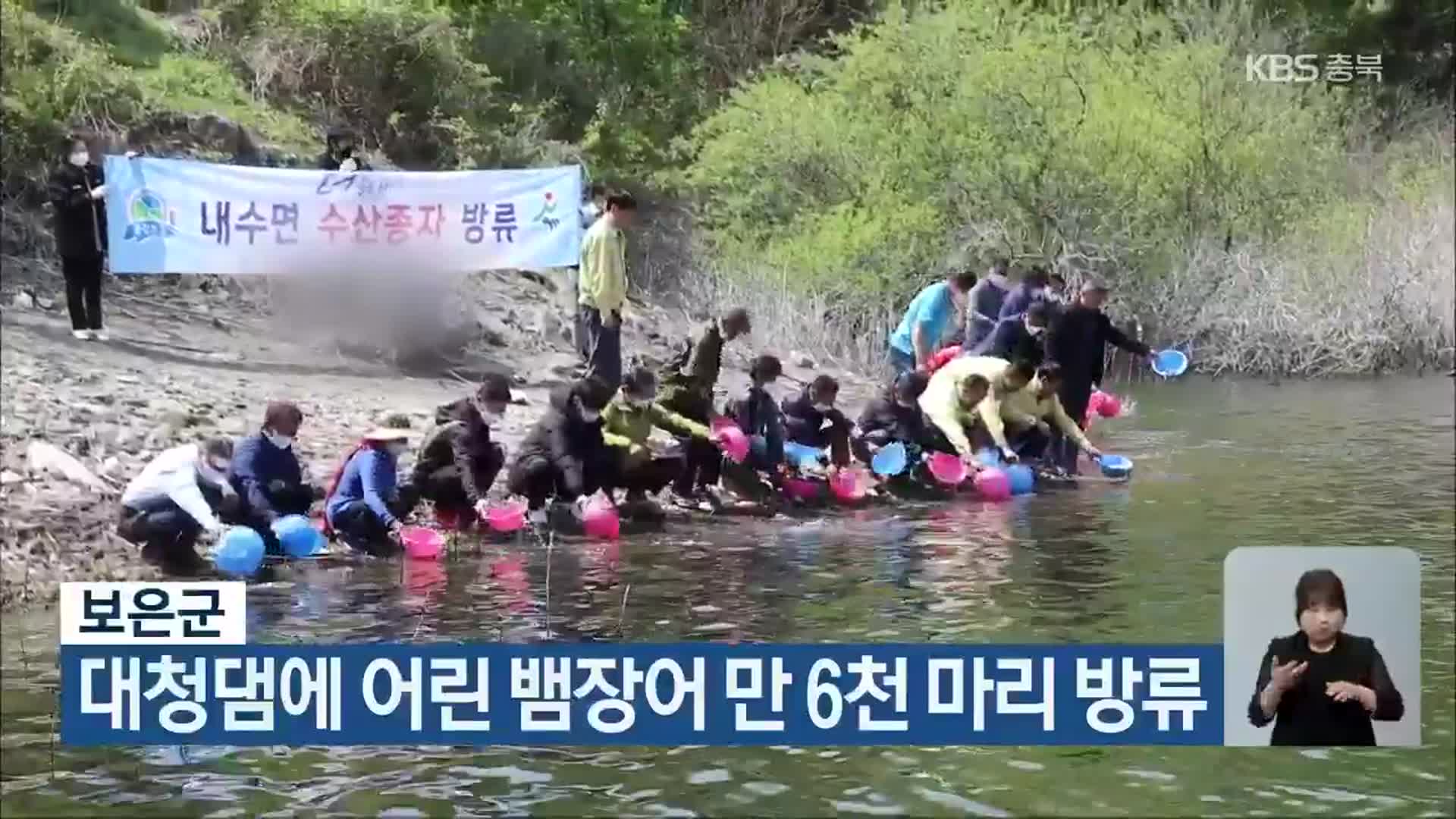 보은군, 대청댐에 어린 뱀장어 만 6천 마리 방류