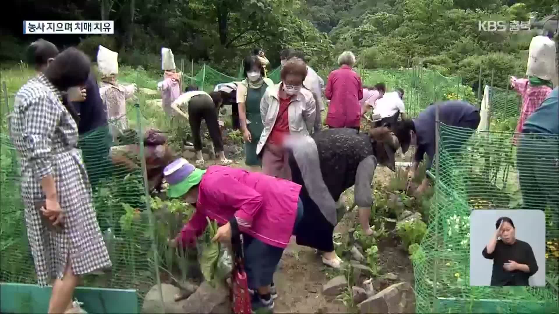 흙 만지며 기억 재생…치매 치유 농장 ‘눈길’