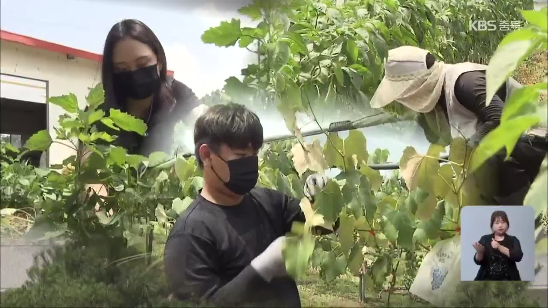 “빌려주고, 알려주고”…졸업생까지 농창업 지원