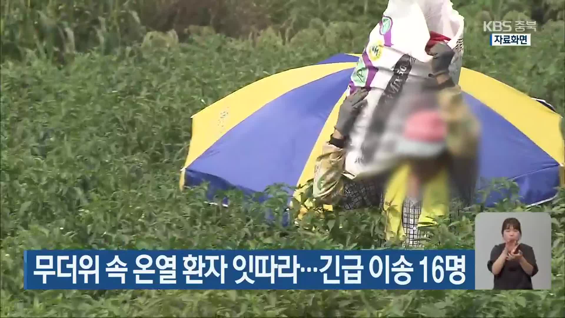 무더위 속 온열 환자 잇따라…긴급 이송 16명