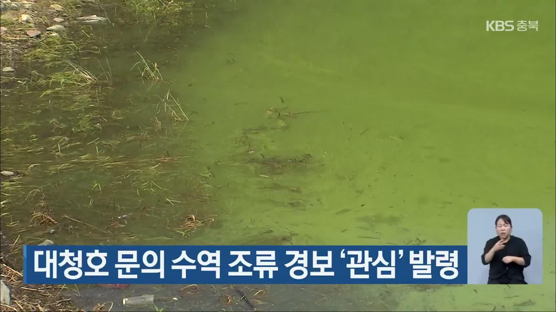 대청호 문의 수역 조류 경보 ‘관심’ 발령