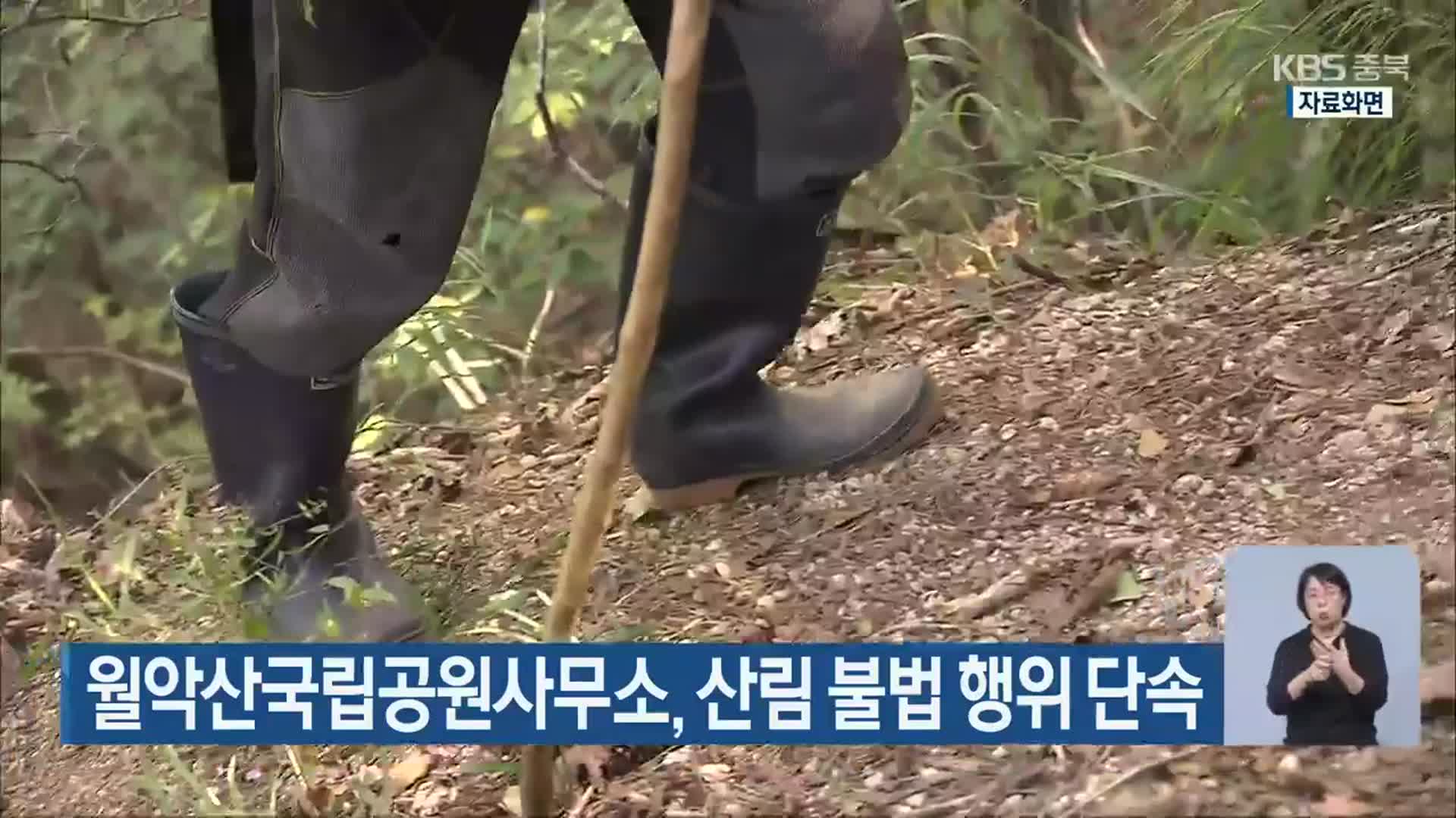 월악산국립공원사무소, 산림 불법 행위 단속