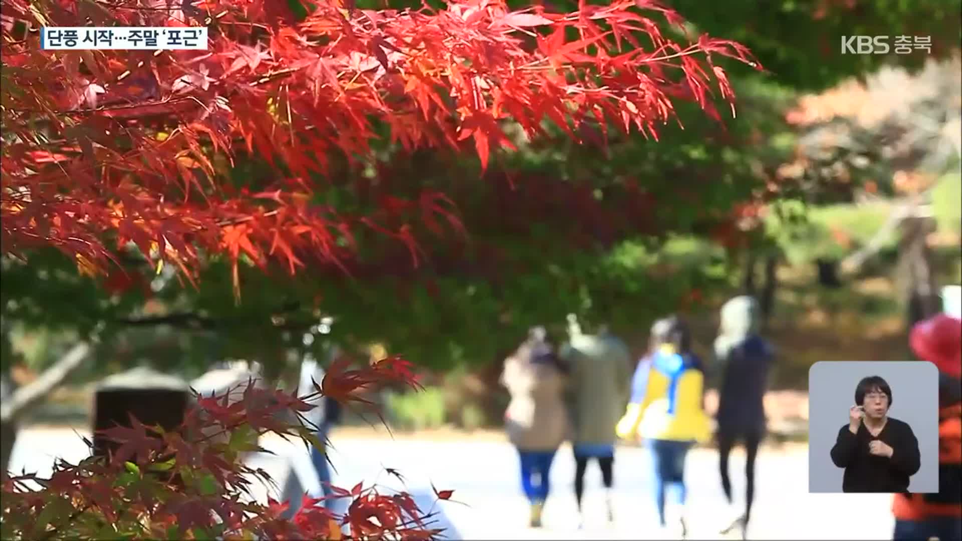 가을 정취 ‘물씬’…이번 주말 맑고 낮기온 상승