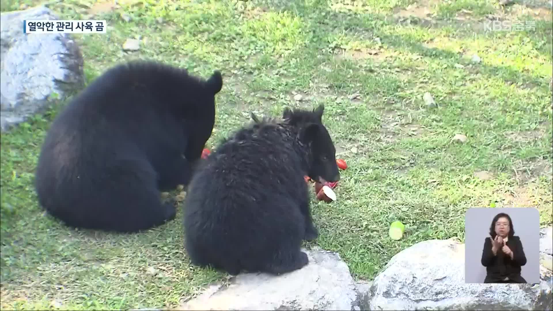 사육 곰 관리 엉망…구조·보호시설 ‘시급’