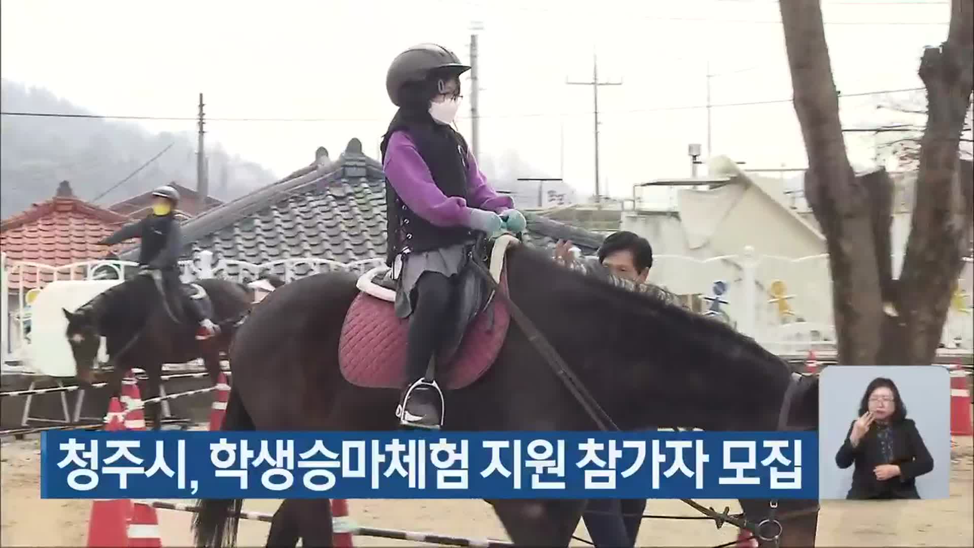 청주시, 학생승마체험 지원 참가자 모집