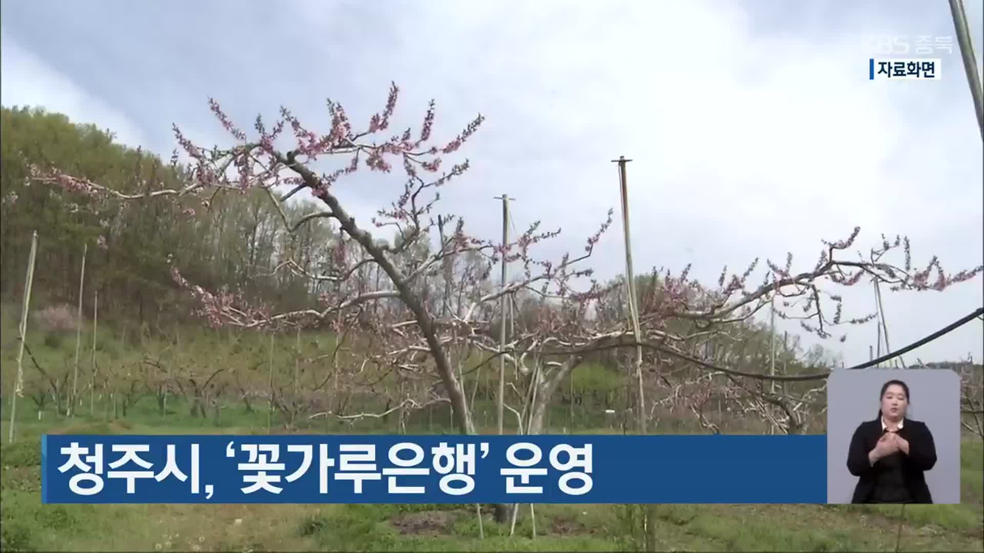 청주시, ‘꽃가루은행’ 운영