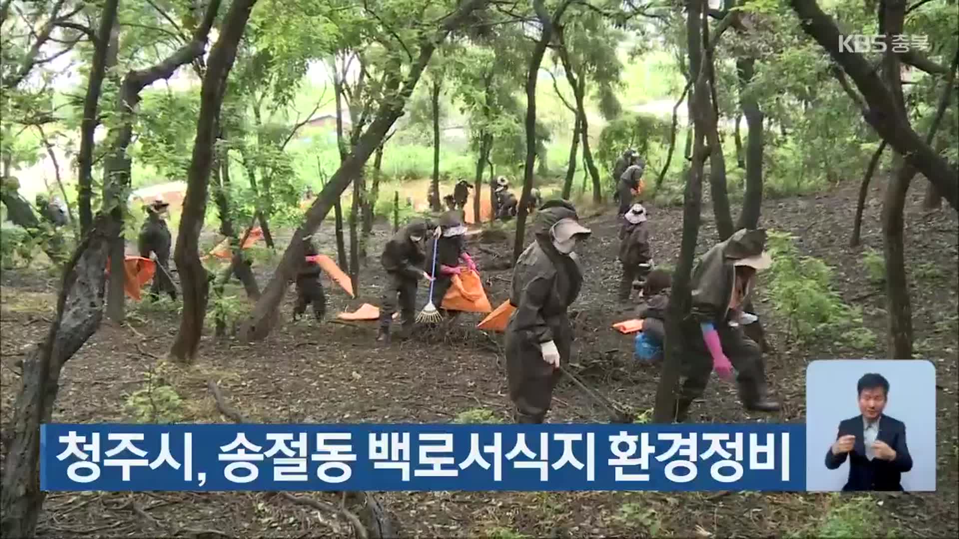 청주시, 송절동 백로서식지 환경정비