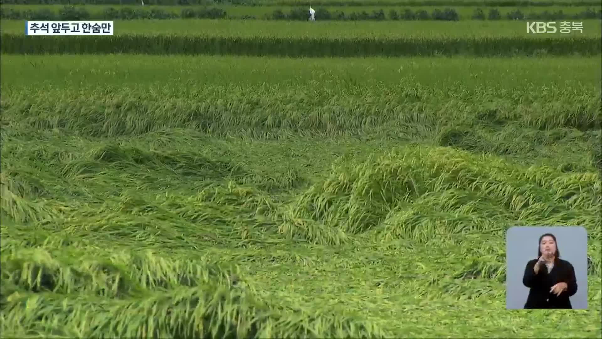 농작물도 쓰러지고 잠기고…축구장 27개 크기 피해