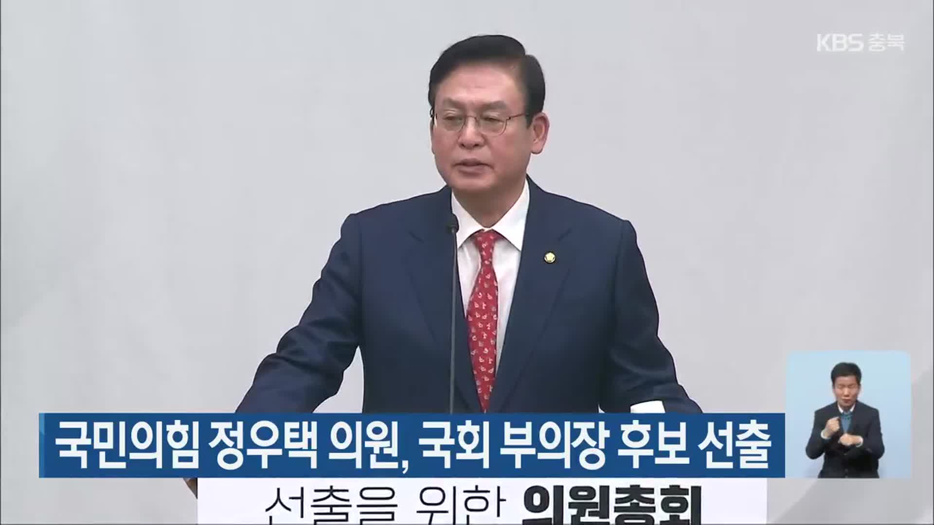 국민의힘 정우택 의원, 국회 부의장 후보 선출